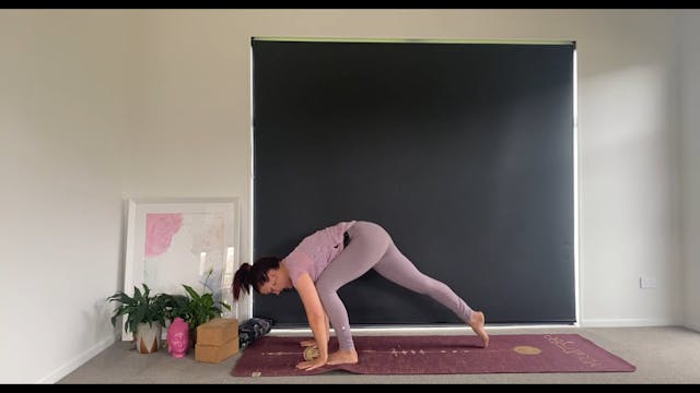 Grounding Vinyasa Flow