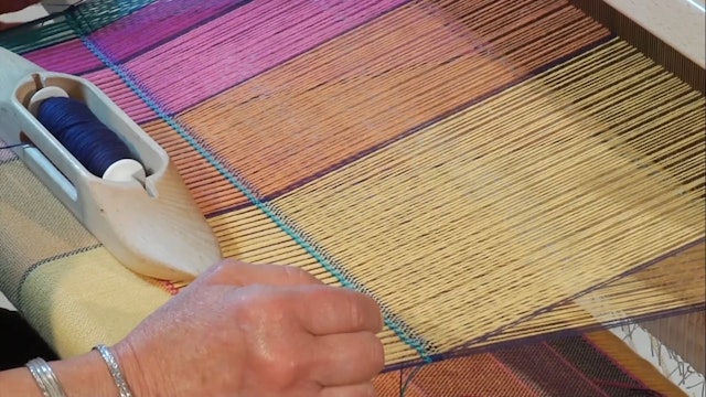 2.5.2 - Parrot on a Loom
