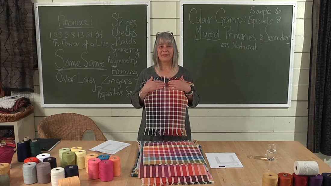 2.8.1 - Intro to Muted Colour Gamp on Natural Ground