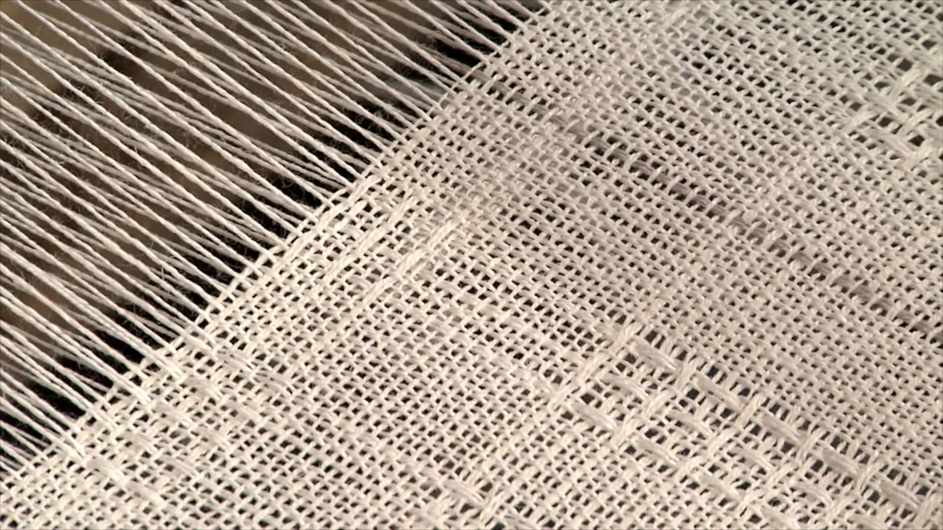 5.2.5 - Canvas at the Loom