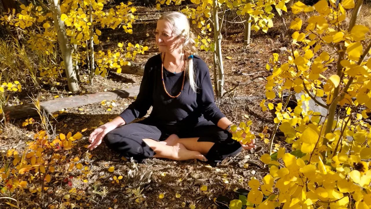 Yin Yoga Class - January 3, 2024