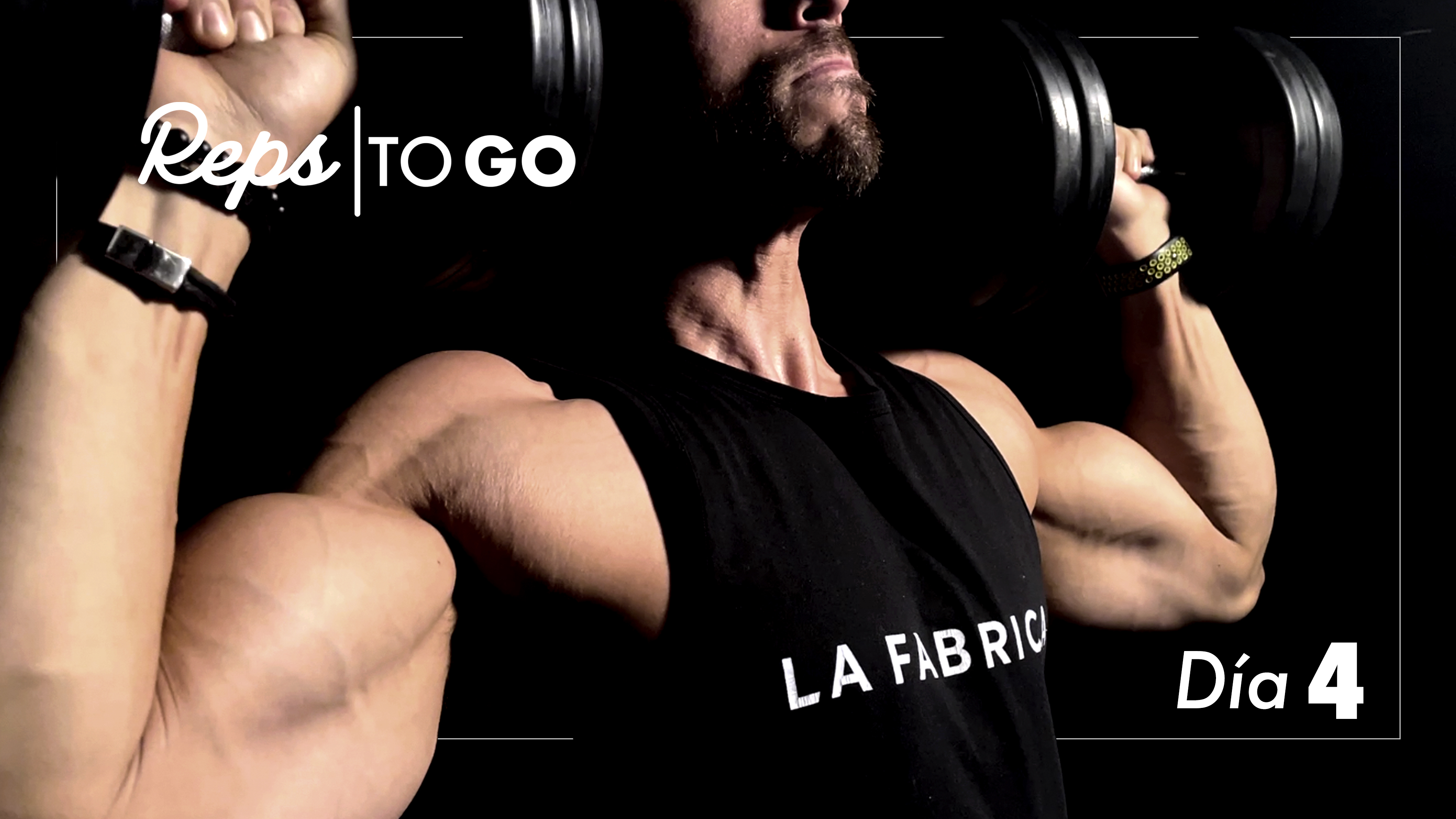 Capítulo 4 -Espalda, Bíceps y Abdomen