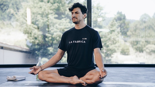 Episodio 2: Las 7 plataformas