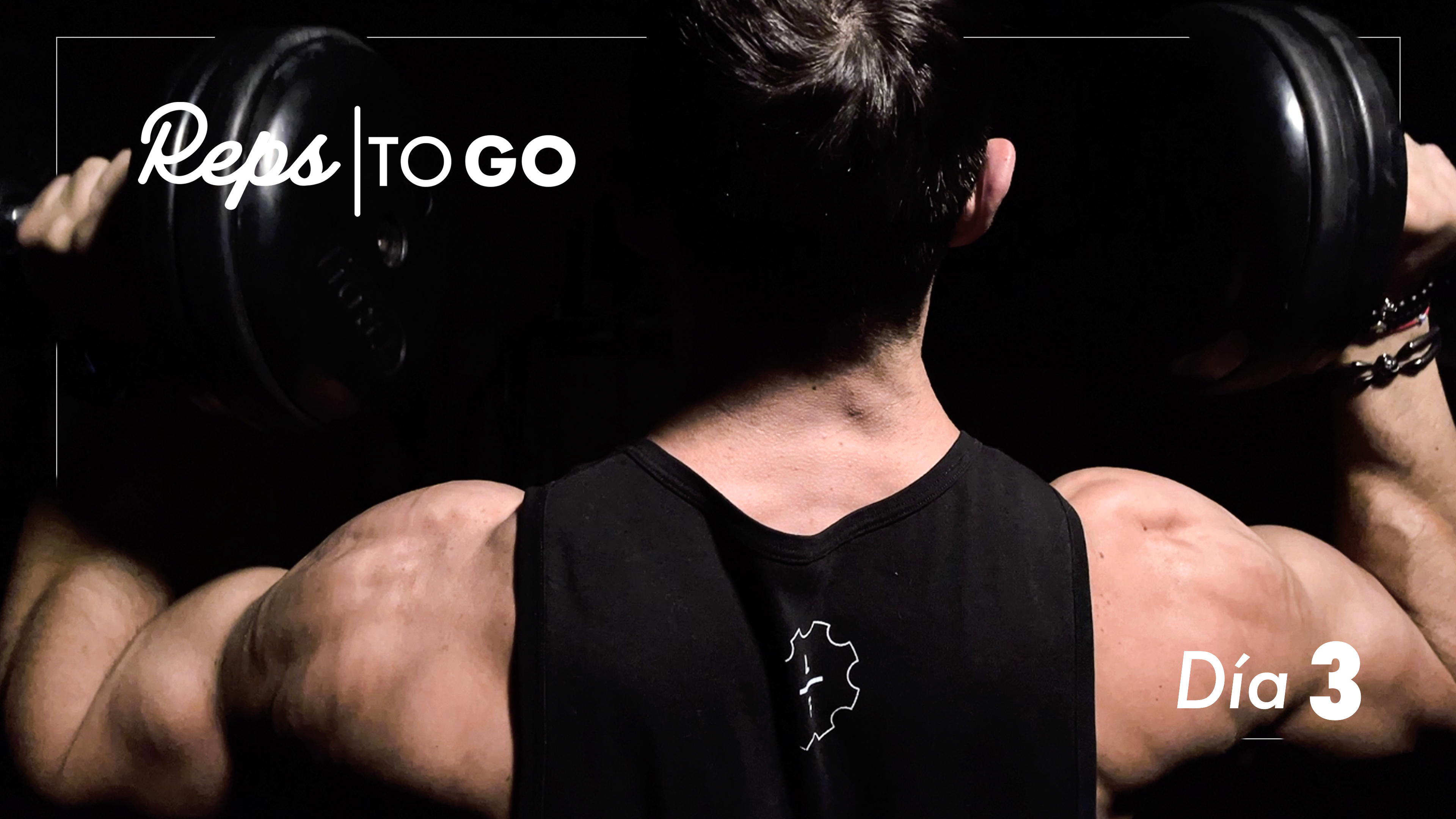 Capítulo 3 -Pectorales y Tríceps 