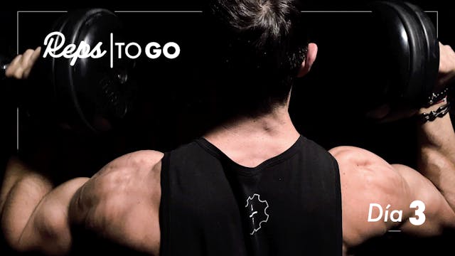 Capítulo 3 -Pectorales y Tríceps