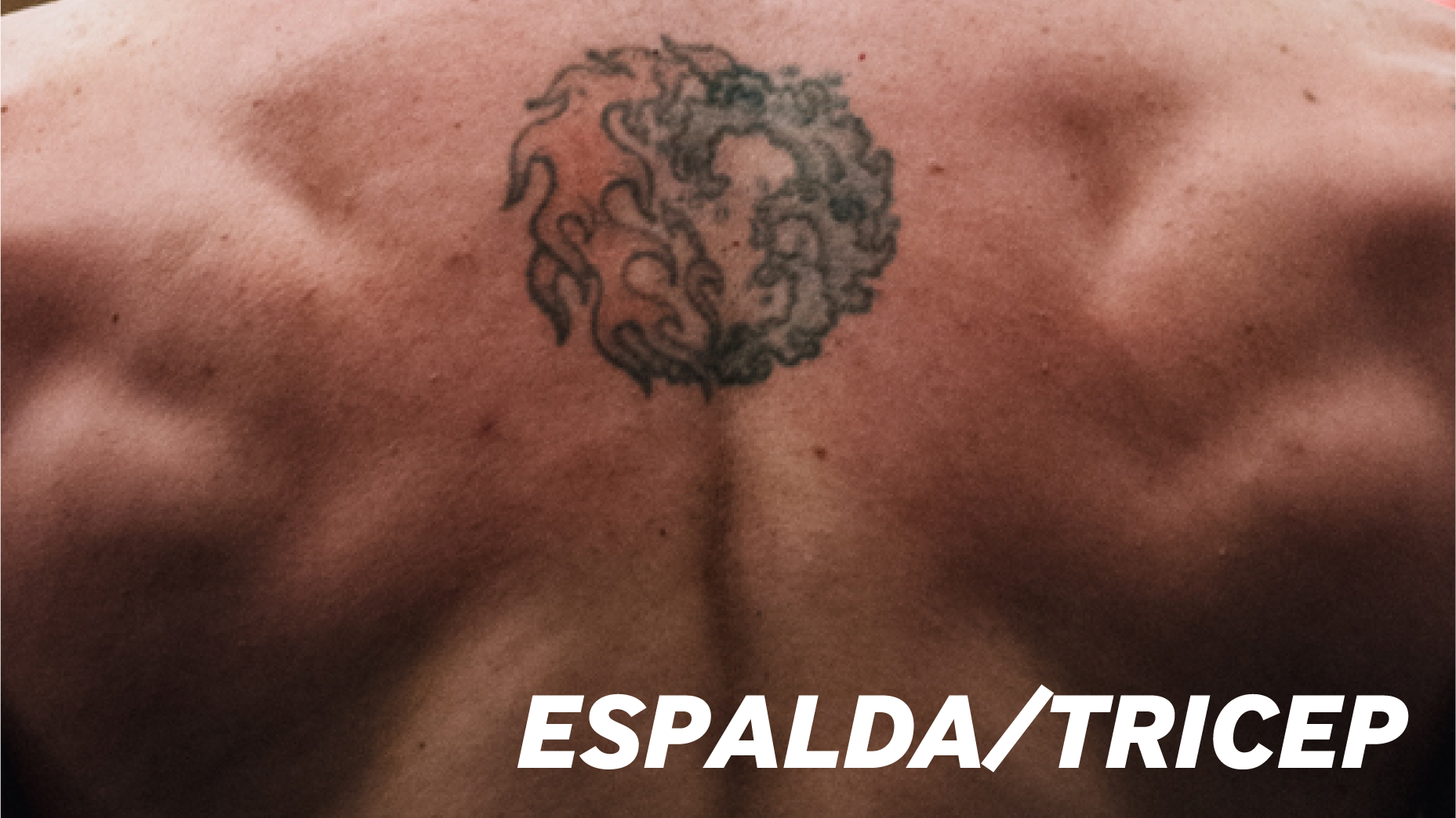 ESPALDA/TRICEP