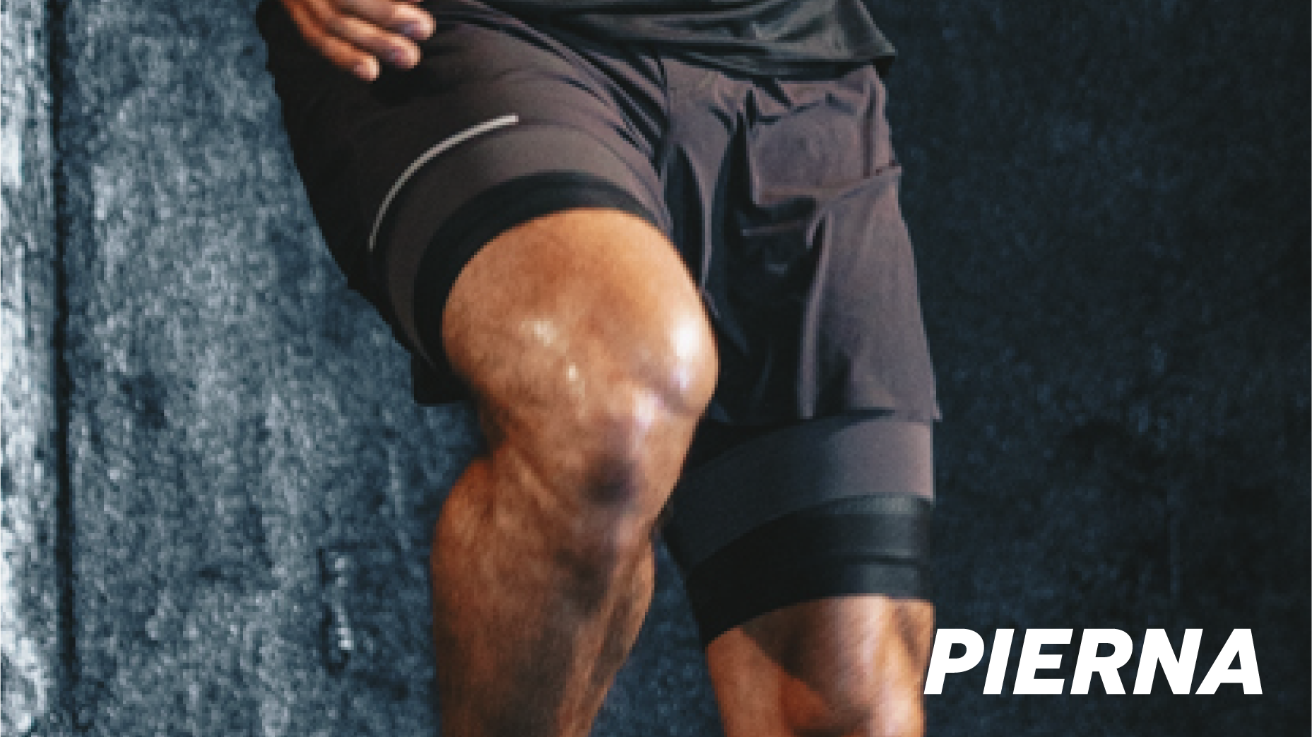 PIERNA