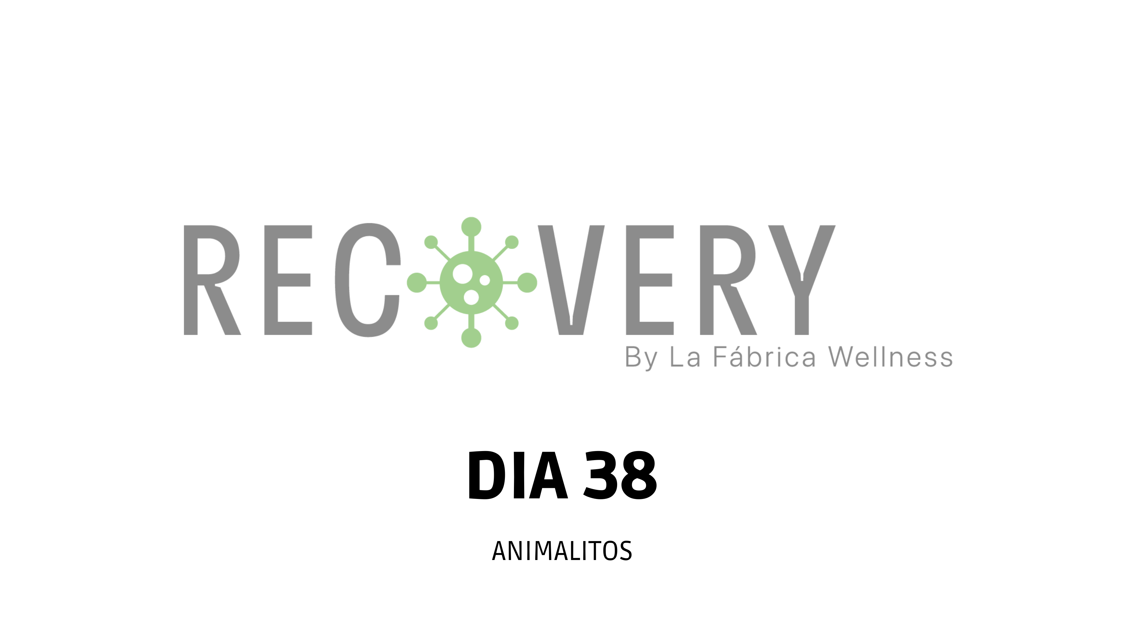 30Min -Cardio Animalitos con Raul