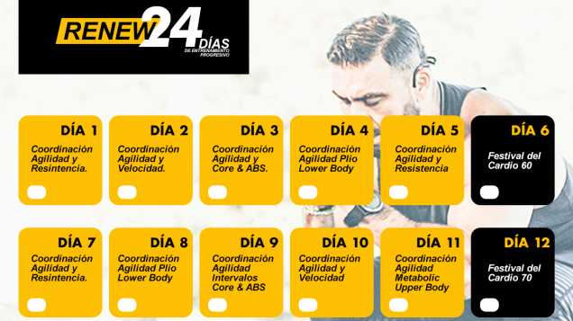 PROGRAMACIÓN RENEW24 