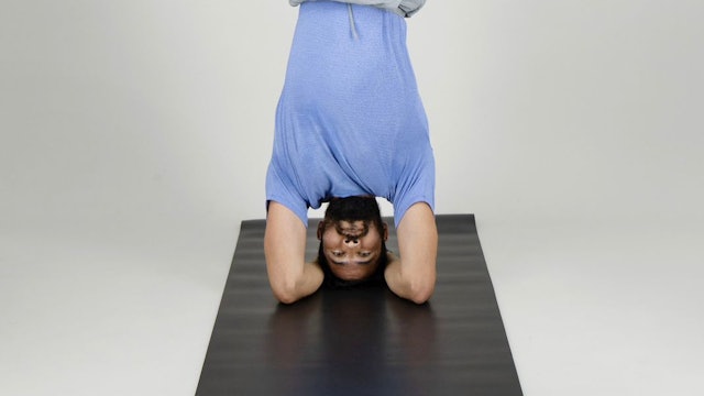 8Abr - Yoga Vinyasa con Fer Murrieta