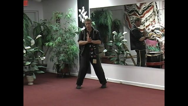 Solid Basics Level 2 (2007)