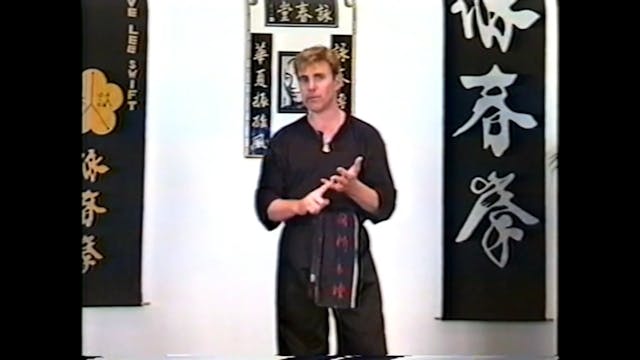 Wing Chun Fighter Volume 3 (1999)