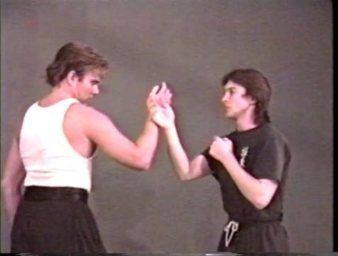 Wing Chun Fighter Volume 2: Wrist to ...