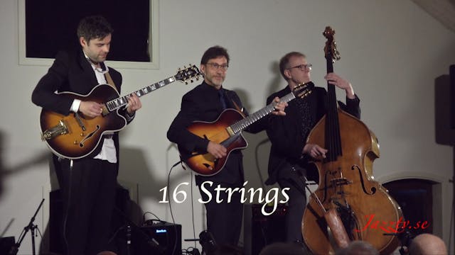 16 Strings