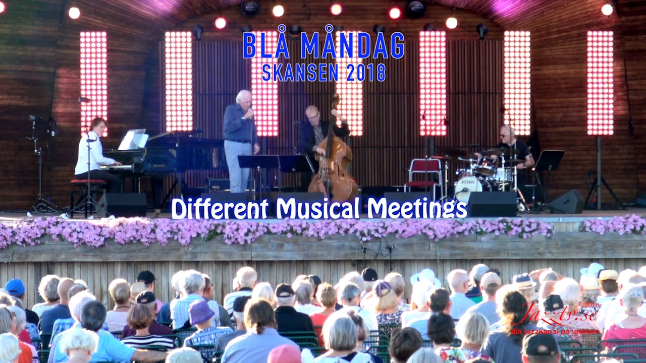 Different Musical Meetings, Skansen 2018