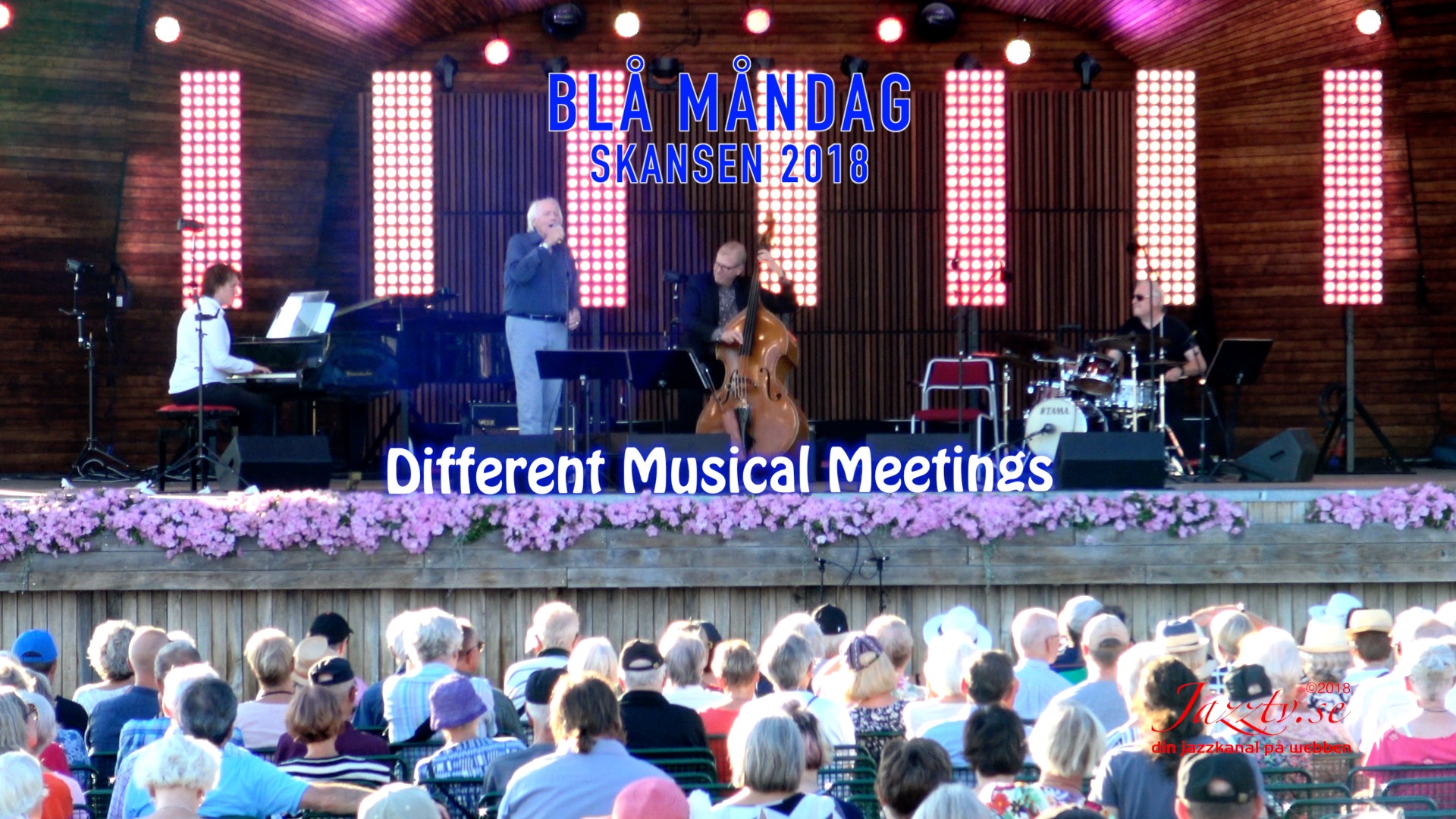 Different Musical Meetings - Skansen 2018