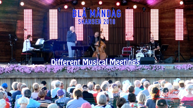 Different Musical Meetings - Skansen 2018