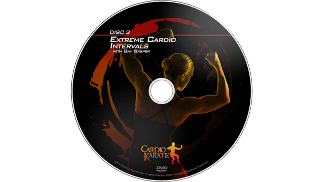 Cardio Karate - Extreme Cardio Intervals