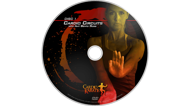 ​Cardio Karate - Cardio Circuits ​