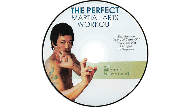 Martial Arts Workout - Michael Nevermind