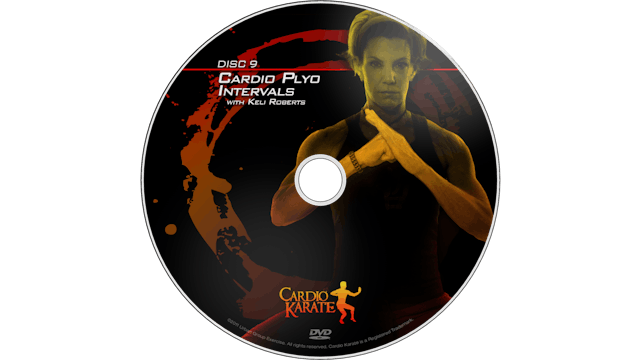 Cardio Karate - Cardio Plyo Intervals