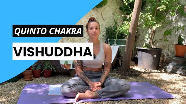 Quinto chakra - Vishuddha