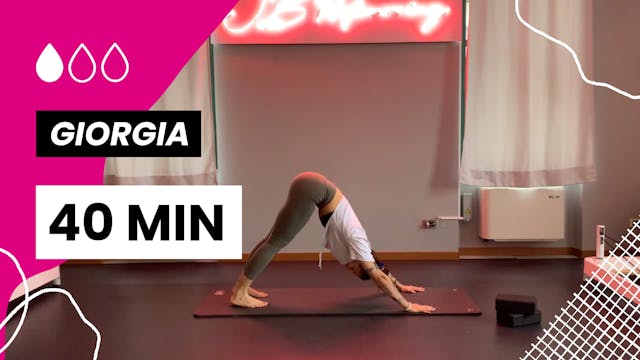 Vinyasa basic flow #1