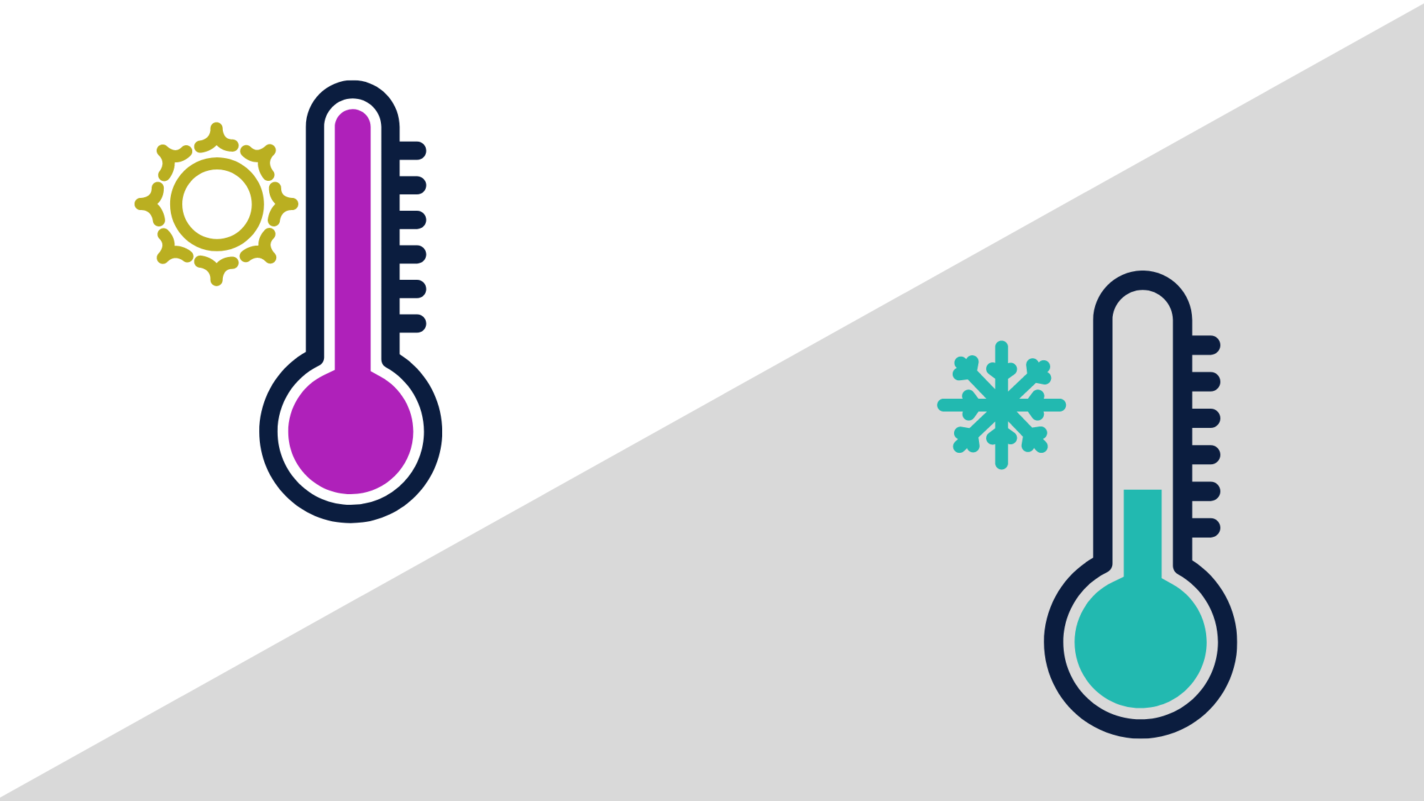 Warm-Ups & Cool-Downs