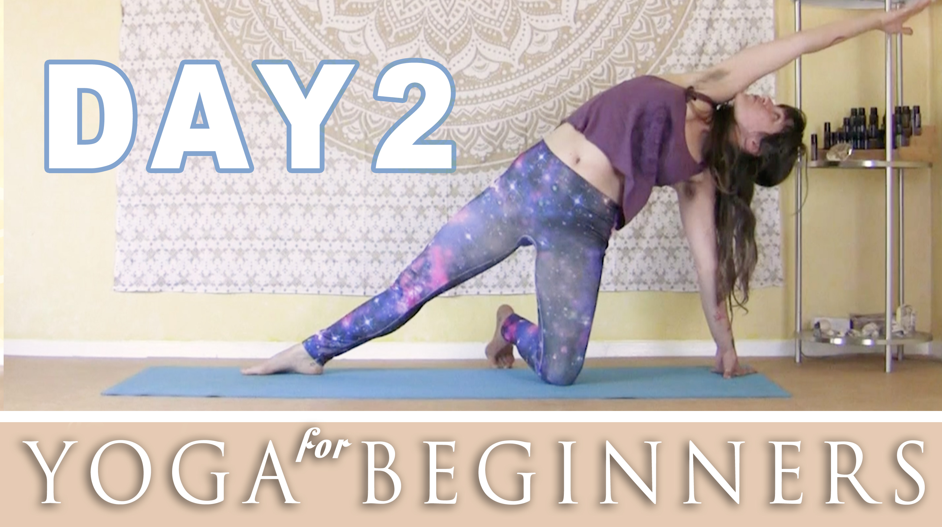 Beginner's Series - Day 2