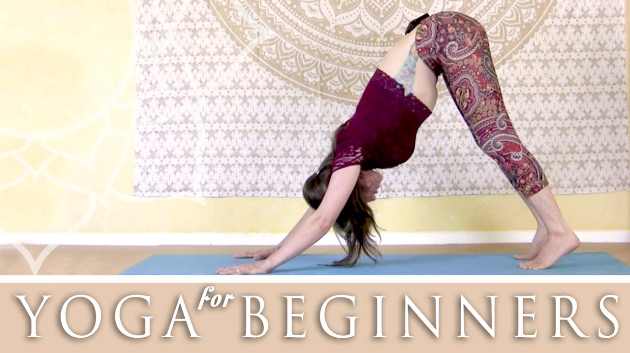 Beginner's Series - Day 1 - Yoga Flows - Jen Hilman Community