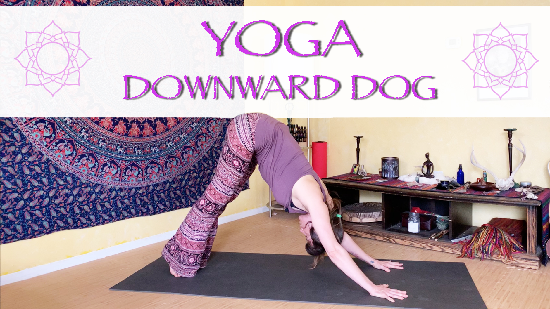 Movement Breakdown of Downward Facing Dog