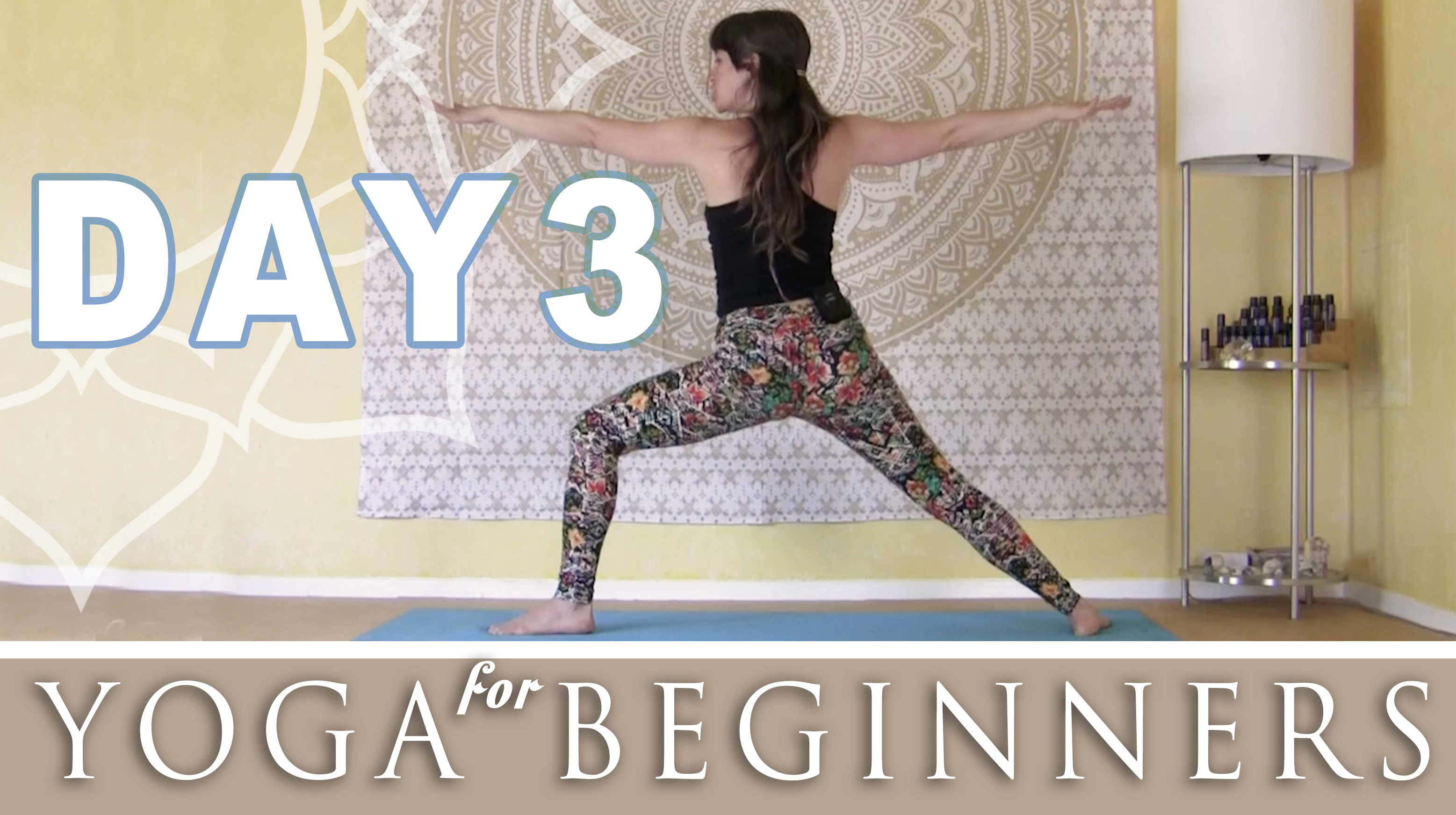 Beginner's Series - Day 3