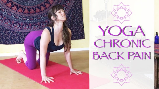 Beginner's Yoga Stretches for Chronic Back Pain