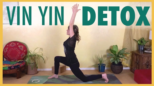 1 Hour Vin Yin Yoga Flow to Detox