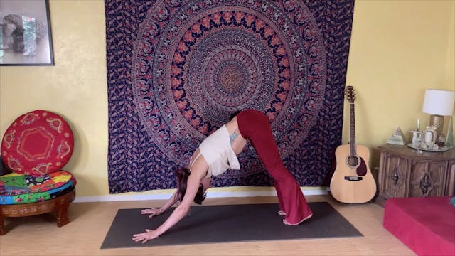 Architecture of Asana 1 - Laying a So...