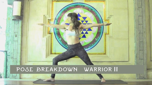 Pose Breakdown-  Warrior II