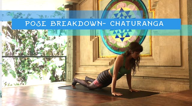 Pose Breakdown- Chaturanga