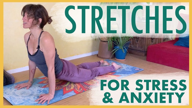 Stretches for Stress and Anxiety