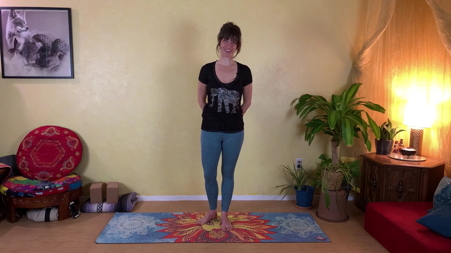1-Hour Live Class to Detox and Destress, Part 2