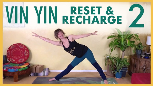 Vin Yin Reset and Recharge - Part 2