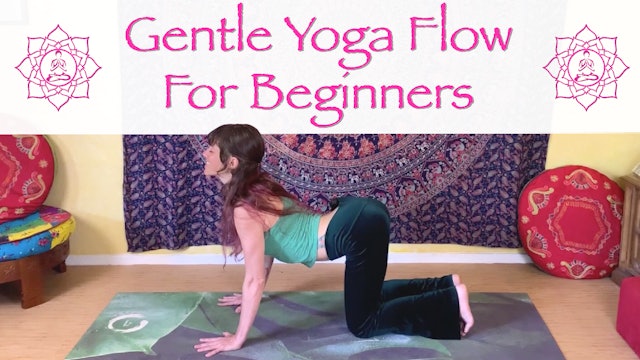 Gentle Yoga Flow for Beginners