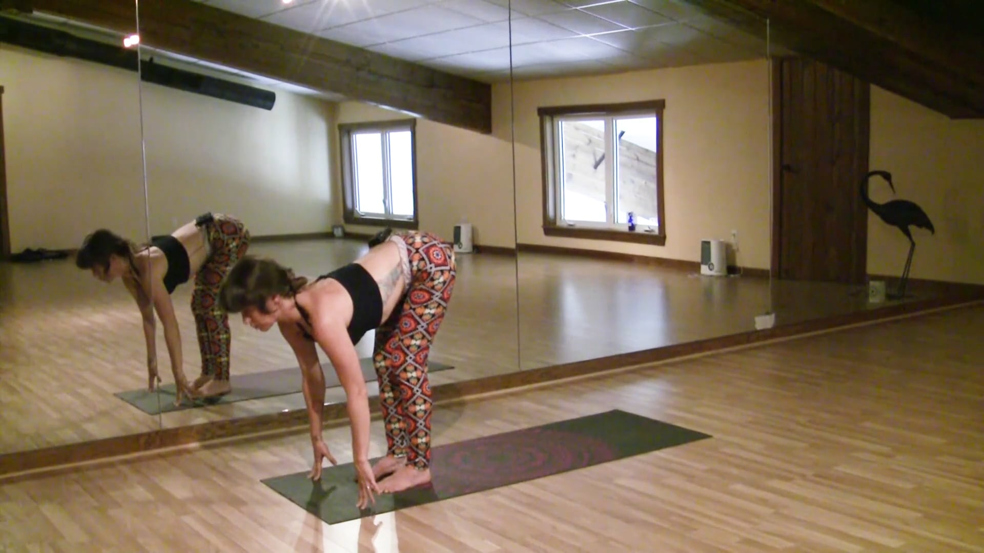 Advanced  Yoga Flow  upper body and arms