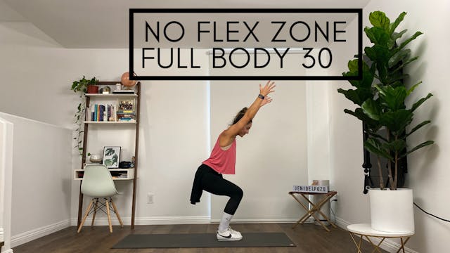 No Flex Zone - Full Body in 30