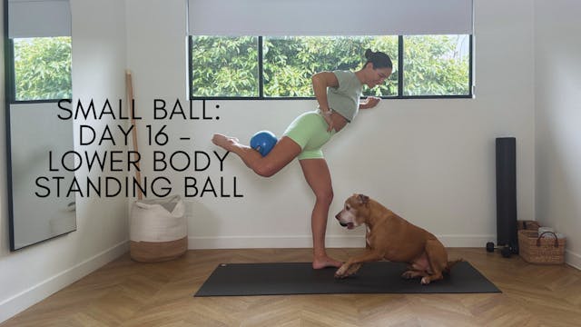 DAY 16 - 19 min Lower Body Standing Ball