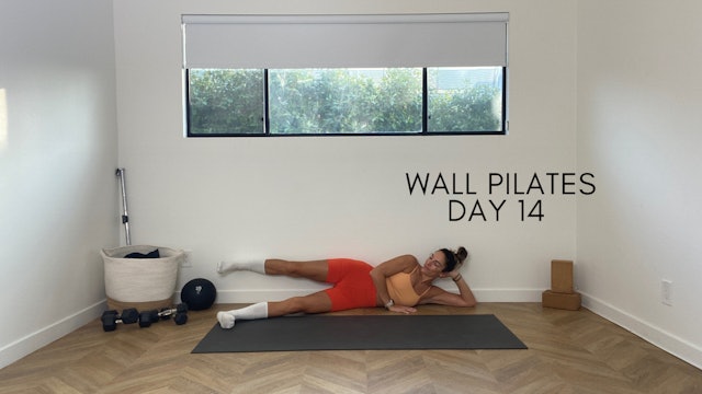 Day 14 Wall Pilates
