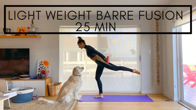 Light Weight Barre Fusion in 25 min