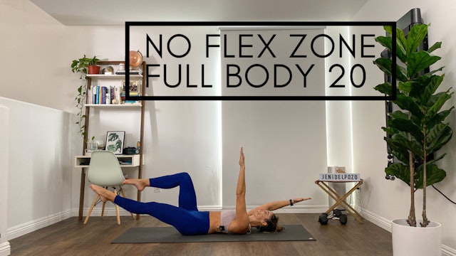 No Flex Zone Full Body in 20