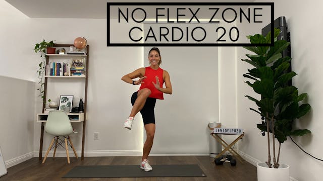 No Flex Zone - Cardio in 20