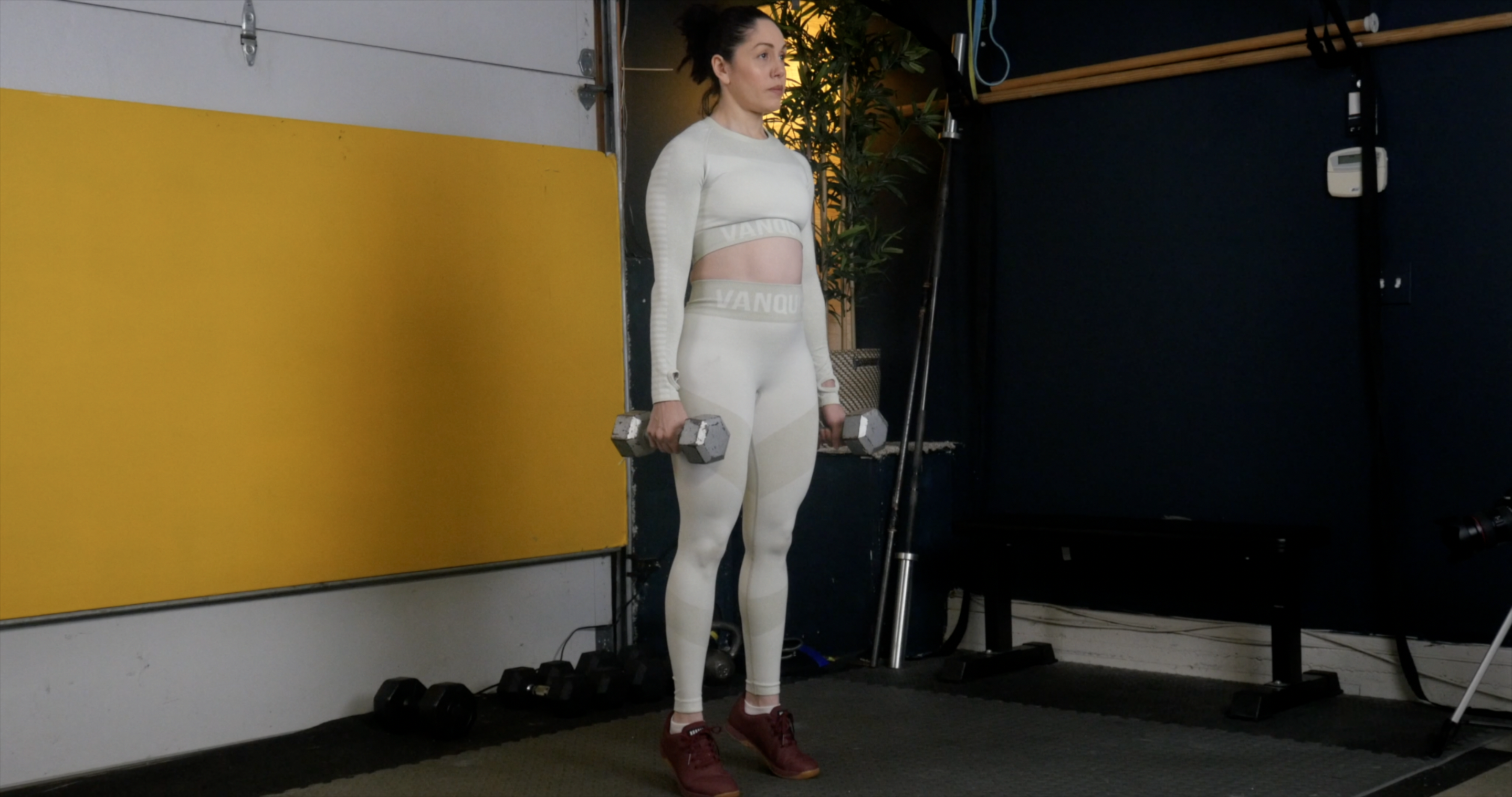 Week 4 Day 2 Exercise 3 Double Dumbbell Calf Raises