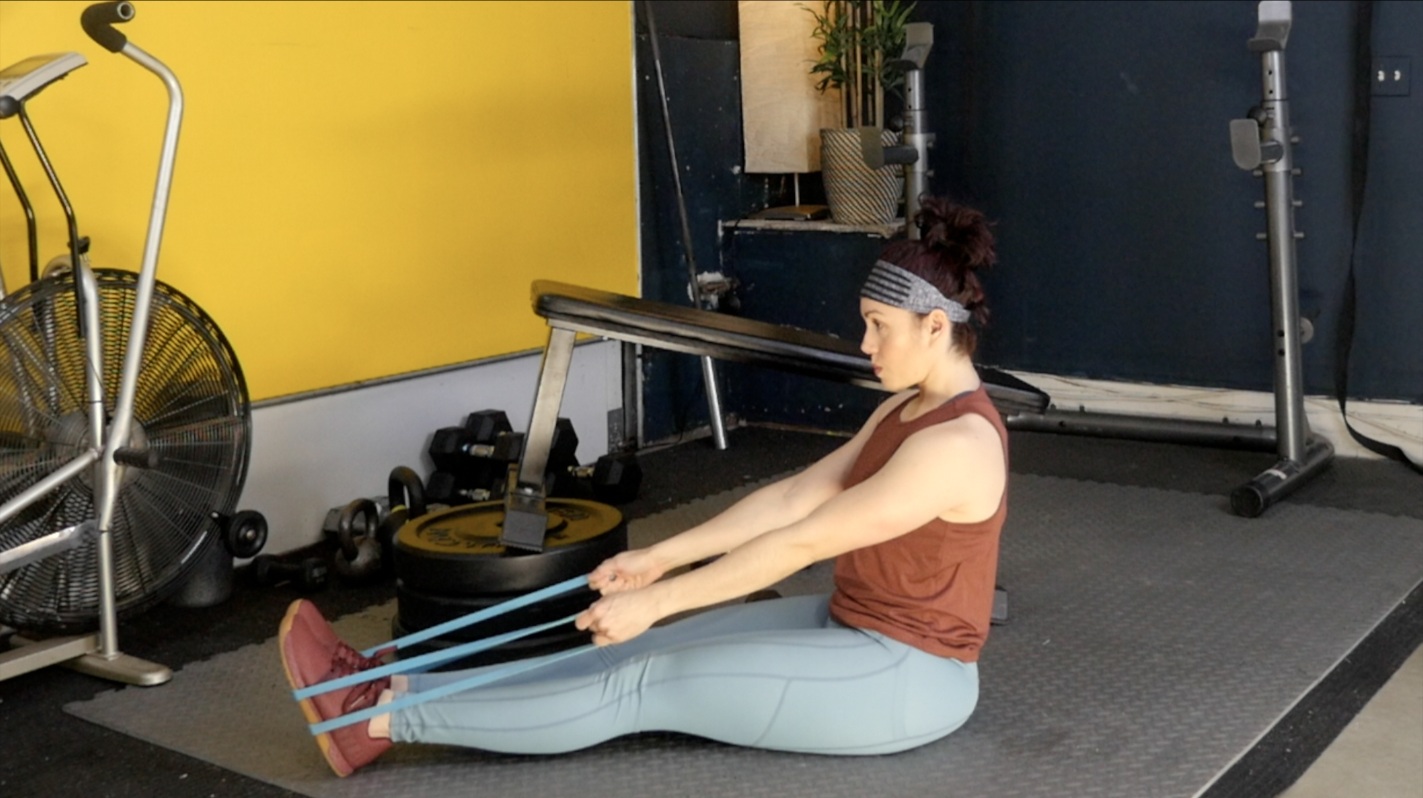 Week 15 Day 2 Exercise 3 Seated Banded or machine Row and Chest Supported Row